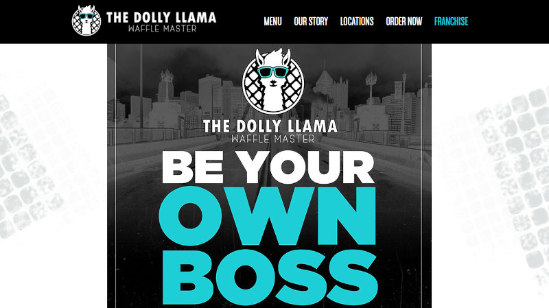 The Dolly Llama website screenshot